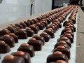Ręczna produkcja czekoladek