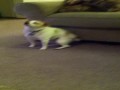 Kręć mi pupą!