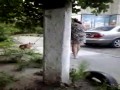 Czelabiński kot