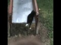 Bardzo dziwna kompilacja