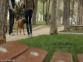 Hiszpański sposób na psich gówniarzy