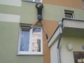 Jak gimbaza wychodzi z domu?