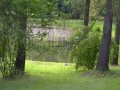 Ogród Botaniczny w Łodzi