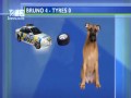 Pies pogryzł opony - animacja w TV