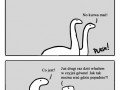 65 000 000 Bc  element napływowy