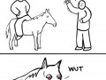 High horse