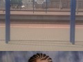 Tczewception