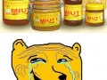 Mjut