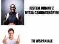 Logika koloru skory