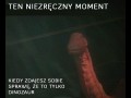 Tylko dinosaur