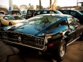Muscle