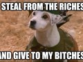 Robin dogg