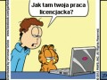 Praca licencjacka
