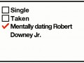 Robert downey jr