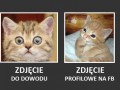 Zdjecie