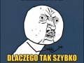 Wakacje 