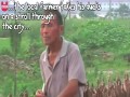 Chiński farmer zabiera czasem swoje kaczki na spacer