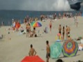 Rzadki gość na plaży