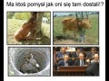 Jak oni się tam dostali?