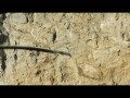 Szybcy i w?ciekli 6 -  zwiastun (trailer) 3