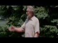 The Big Wedding -  zwiastun (trailer) 2
