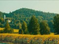 Trance -  zwiastun (trailer) 3