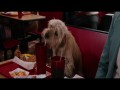 Anchorman 2 The Legend Continues Official Trailer