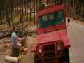 Prince Avalanche Official Trailer 2 (2013)