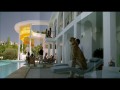 The Counselor -  zwiastun (trailer)