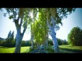 Trans -  zwiastun (trailer) PL