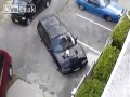 Jak przegonić kota z maski samochodu?