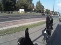 Sezon tatarowy