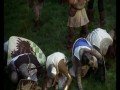 Jak wyglądałby trailer Monty Python i Święty Graal gdyby wyszedł dzisiaj?