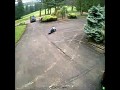 Idioci chodzą parami