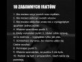 10 zabawnych faktów