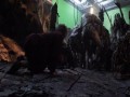 Efekty w Hobbicie jaskinie goblinów