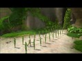 Tajemnica zielonego królestwa - polski  zwiastun (trailer)