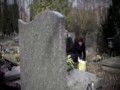 15 powodów przez które nie lubię Wszystkich Świętych
