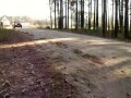 Świnie u Szwagra