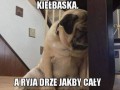 To była tylko jedna, maleńka kiełbaska...