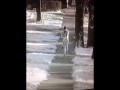 Pierwszy dzień w pracy listonosza