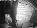 Testu na chłopaka nie przeszedł