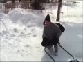 Najlepszy przyjaciel człowieka