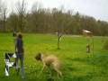 Zwierzęta też potrafią być dupkami