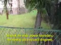 Co ma piernik do wiatraka - Jadą pieniądze