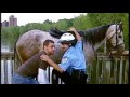 Policja konna