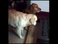 Psi duet