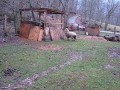 Owca bawiąca się z psem