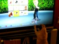 Mały mops chce się bawić z mopsem z Xbox