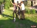 Mix WTFów VII